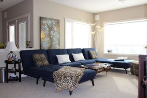 Smart TV, fireplace, DVD player, books