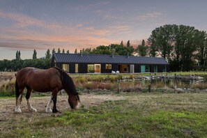 Exterior - Lyford Luxury Lodge, Guest Wing (Twizel)