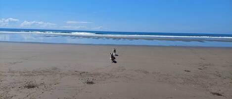 Beach nearby, sun-loungers, beach towels