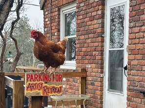 Terrein van de accommodatie