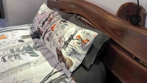 2 bedrooms, iron/ironing board, WiFi, bed sheets - Magic Forest Farm's Artist Retreat (Coeymans Hollow)