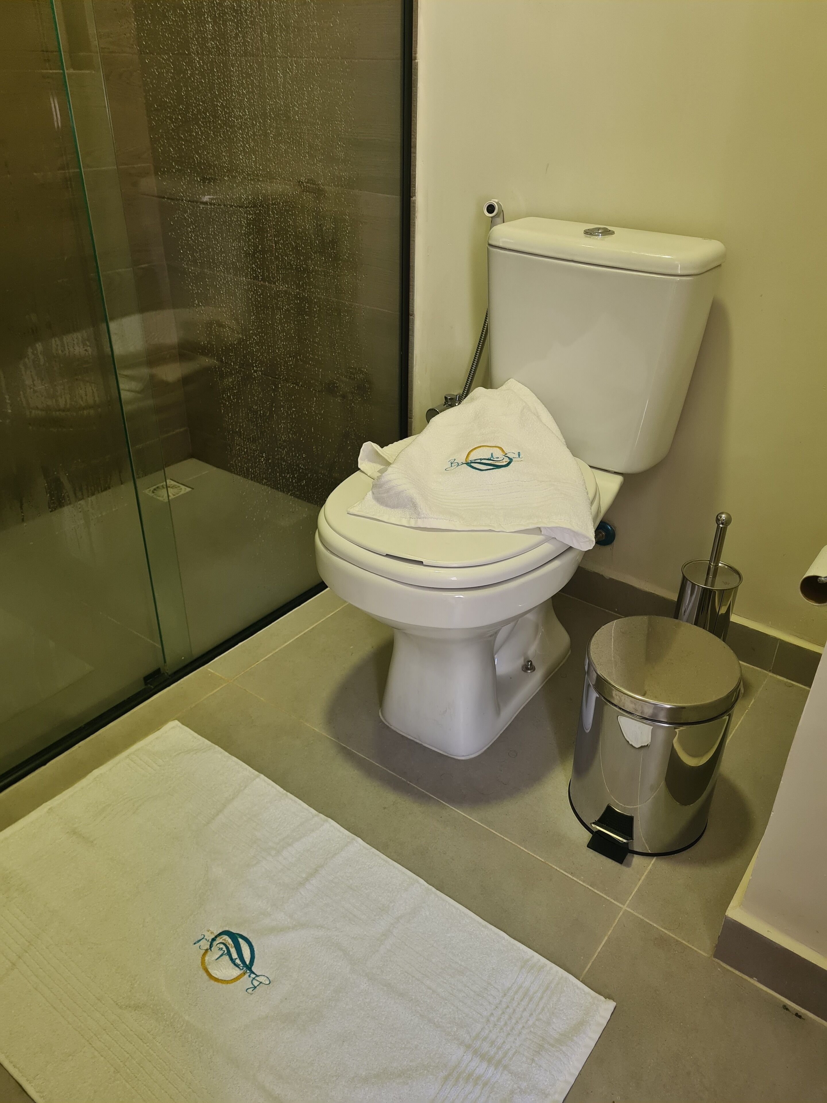 A bathroom with a toilet, a glass shower enclosure, and a trash bin.