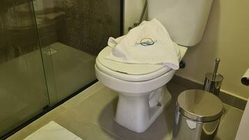A bathroom with a toilet, a glass shower enclosure, and a trash bin.
