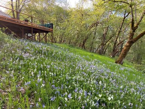 Área da propriedade