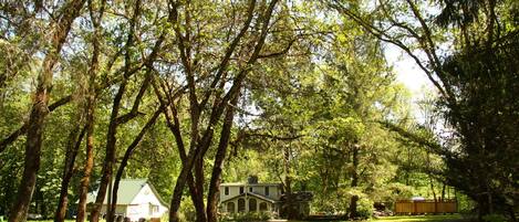 المنطقة المحيطة بالمنشأة