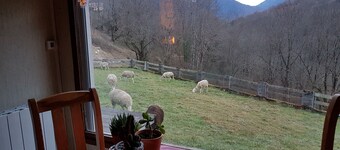 Ch'ti Chalet, Superbe Vue, Nature et Tranquillité, Sans Vis-à-vis