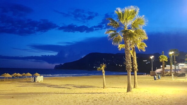 Ein Strand mit Palmen, Liegestühlen und Sonnenschirmen unter dem Nachthimmel.