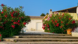 A set of stone steps leading to a building with a tiled roof and a white facade. - Country villa - Sleeps 8 - Mimosa view (Tanneron)