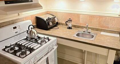 Charming Brick Home in Seneca Falls Historic District!