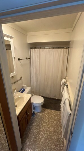 Hair dryer, towels, soap, shampoo
