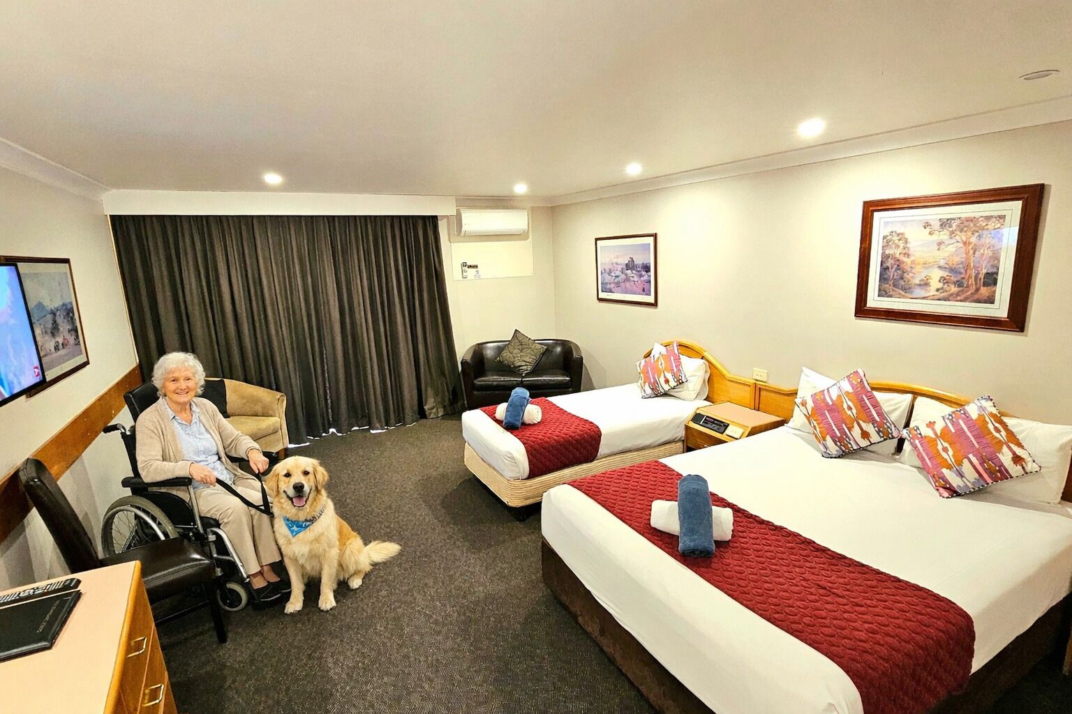 Quarto de hotel com duas camas, uma cadeira de rodas, um cão e uma televisão.