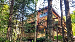 Une cabane en bois à plusieurs niveaux, entourée d’une forêt dense.
