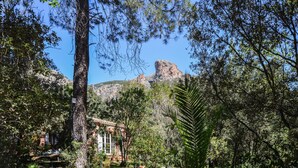 Um edifício rústico com fachada de pedra e grandes janelas, rodeado por vegetação densa e uma montanha rochosa imponente ao fundo.