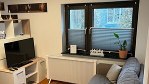 A modern living room with a grey sofa, a TV on a wooden stand, a radiator, and a window with blinds. - Zentral Gelegene Ferienwohnung Am Langenberg, Hitzacker (Hitzacker (Elbe))