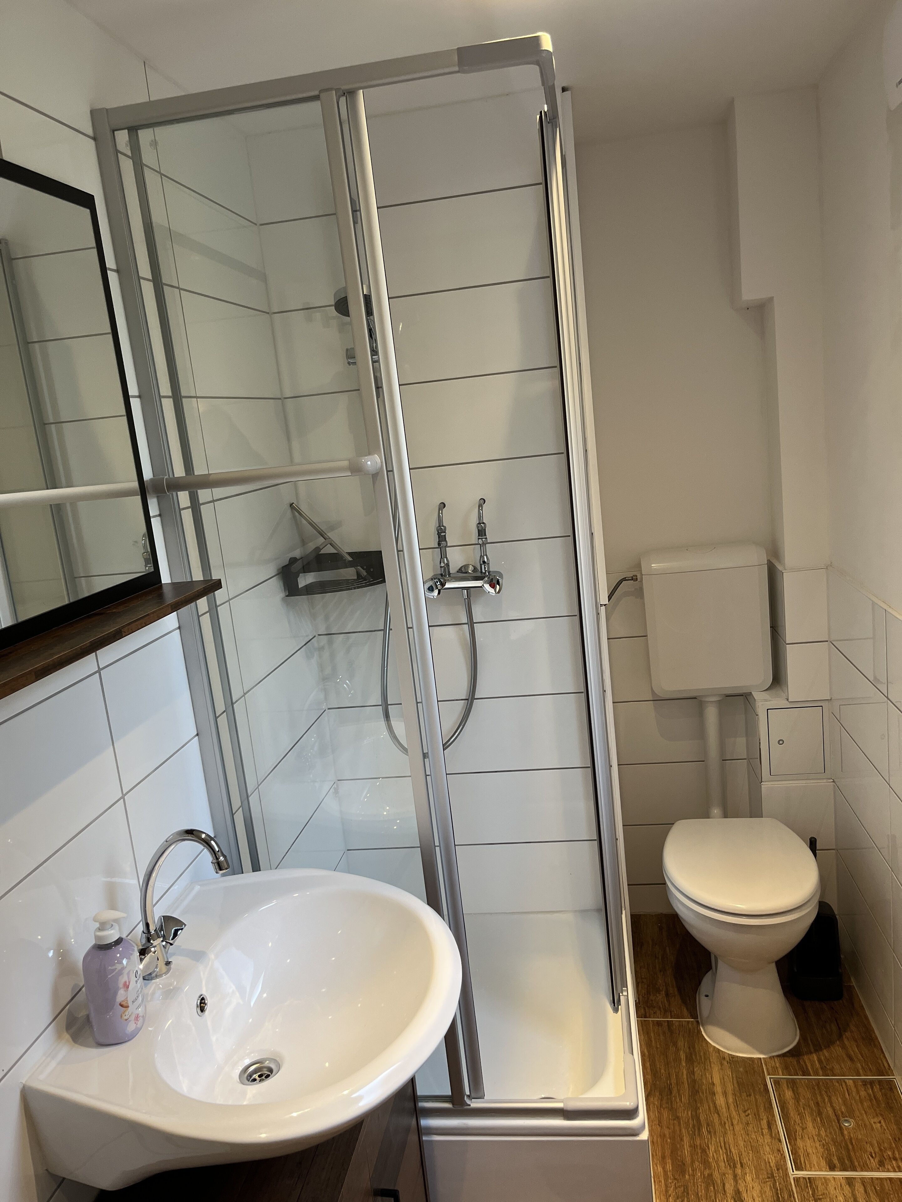 Dusche, Haartrockner, Handtücher, Seife