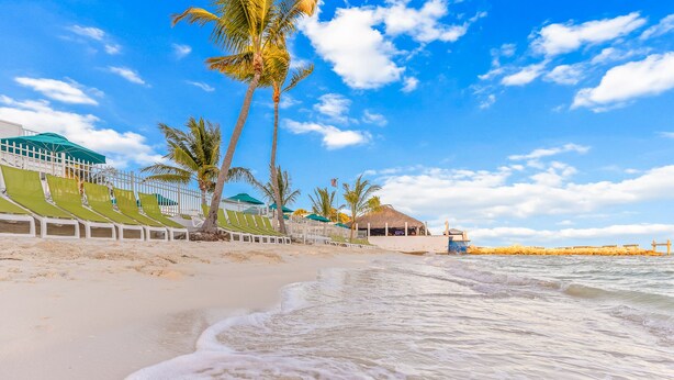 A beach with a row of green lounge chairs, palm trees, and a building with a thatched roof. - DISCOUNT! Beautiful Home, Dock, Cabana Club Membership, Pool, Beach! (Key Colony Beach)