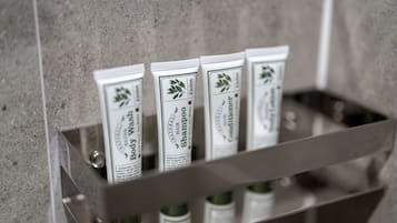 Shower, hair dryer, bathrobes, slippers