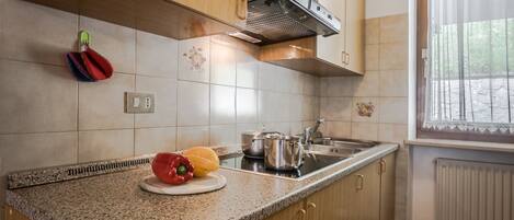 Fridge, microwave, stovetop, dishwasher