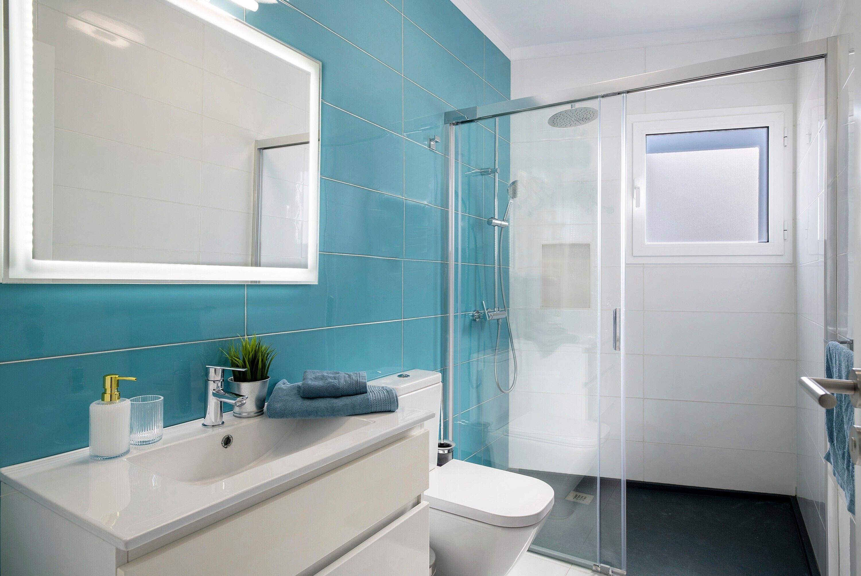 Shower, hair dryer, towels
