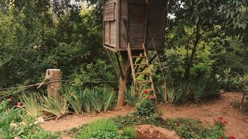 Een houten constructie met een ladder, omringd door weelderige begroeiing en diverse planten.