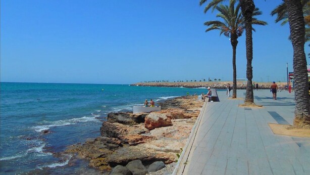 Un paseo marítimo con palmeras, costa rocosa y el mar.