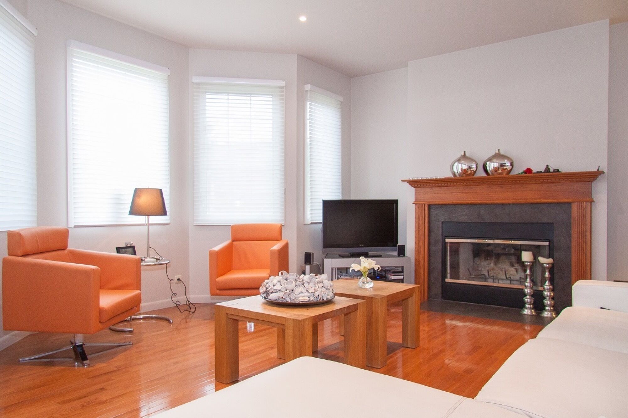 TV, fireplace, stereo