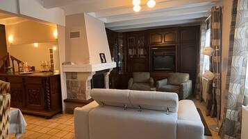 Télévision, cheminée, lecteur de DVD, chaßne hi-fi