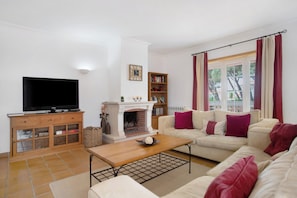 Una televisión, una chimenea, un reproductor de DVD