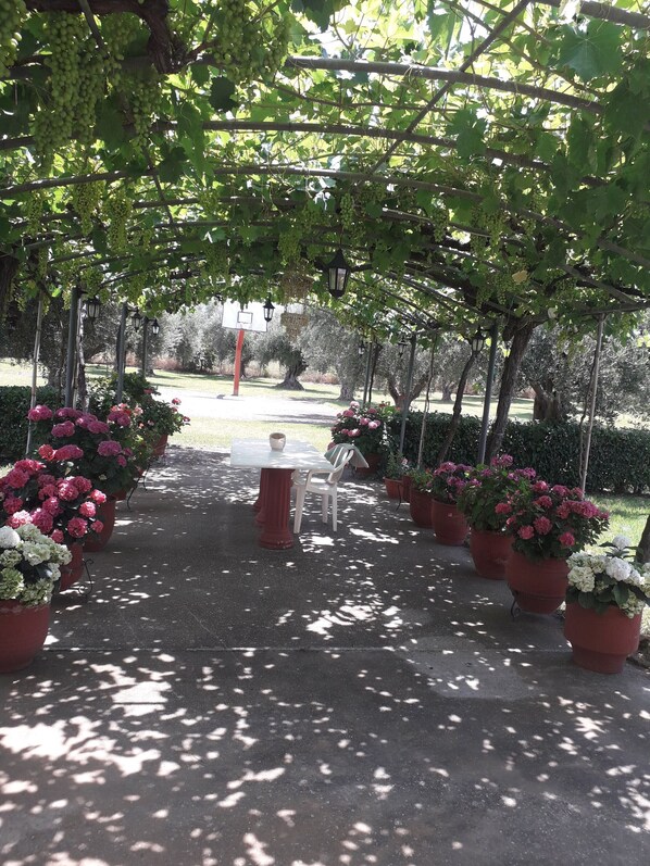 Outdoor dining - Country House 'Family Villa Dora' with Sea View, Wi-Fi and Air Conditioning (Zacharo)