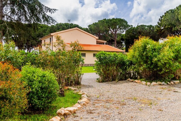 A house with a gravel driveway, surrounded by greenery and trees.