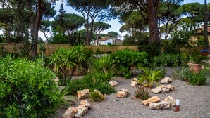 A garden with various plants and rocks, a gravel path, and a building in the background. - Casale Lorenzo - Apartment 2 with Private Terrace, Shared Garden and Air Conditioning (Orbetello)