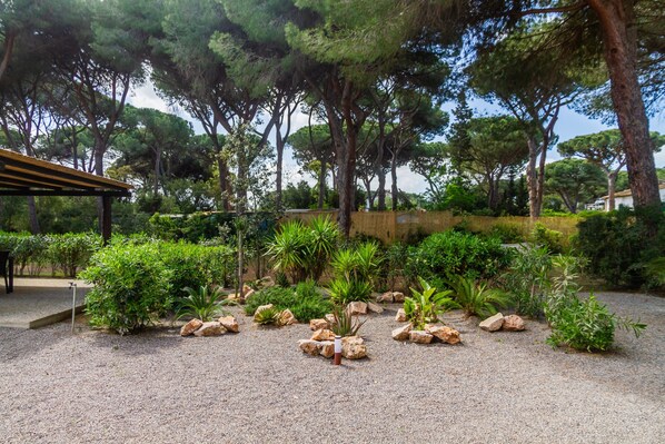 A garden with various plants and rocks, a pergola, and a wall in the background.