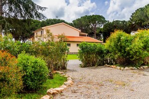 A house with a gravel driveway, surrounded by greenery and trees.