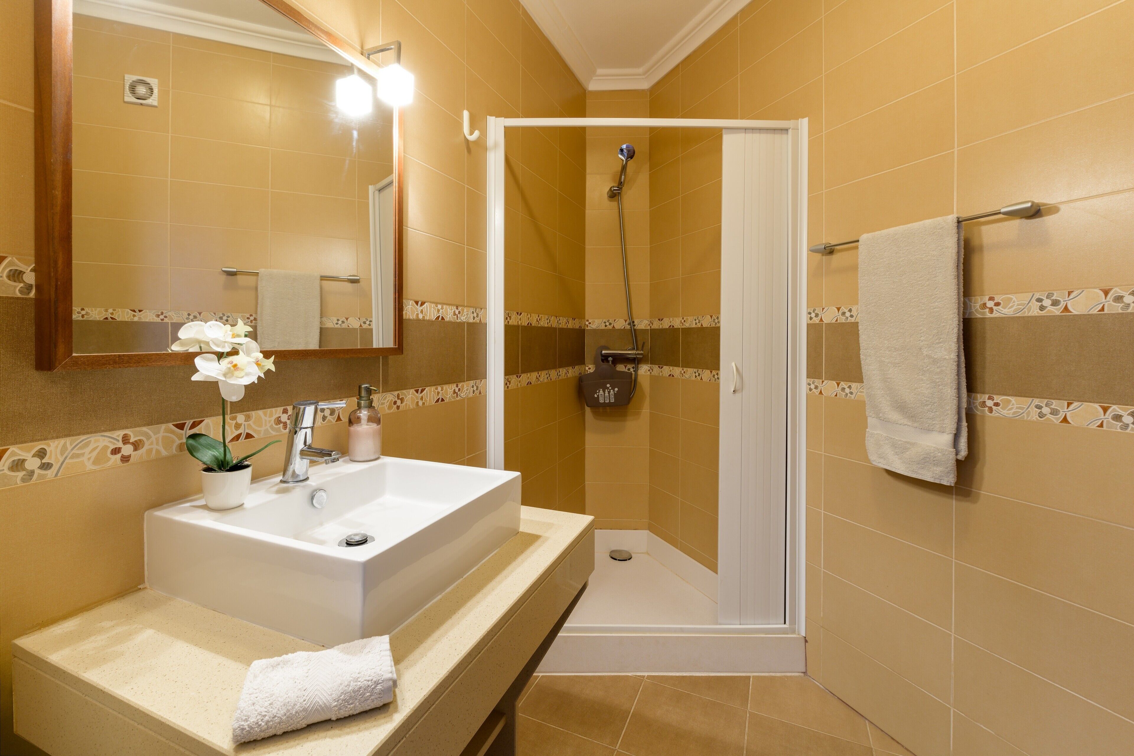 Shower, hair dryer, towels