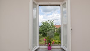 A window with an open view of a garden and a building in the background.