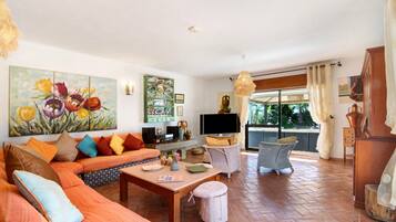 TV, fireplace, video games, DVD player