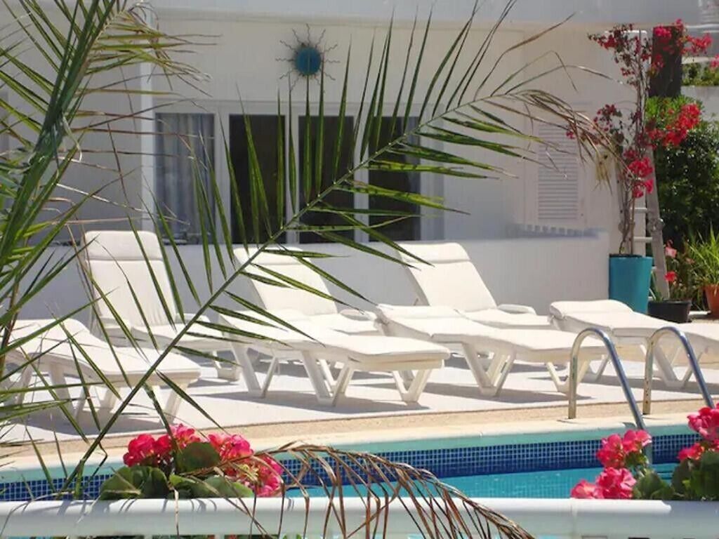 Un espace piscine comprenant des chaises longues, une piscine et quelques plantes.