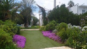 Un jardí amb un camí de pedra, verdura exuberant i plantes amb flors.