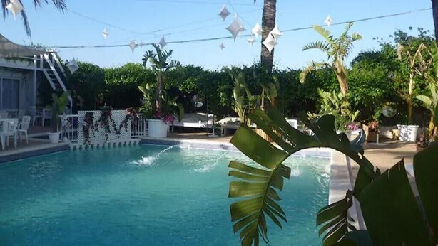 Una piscina amb aigua turquesa cristal·lina, envoltada de vegetació exuberant i palmeres.