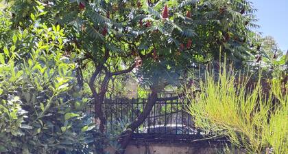 Maison 60m2 orientée plein sud aux abords de PARIS