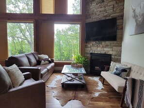 Smart TV, chimenea y libros 