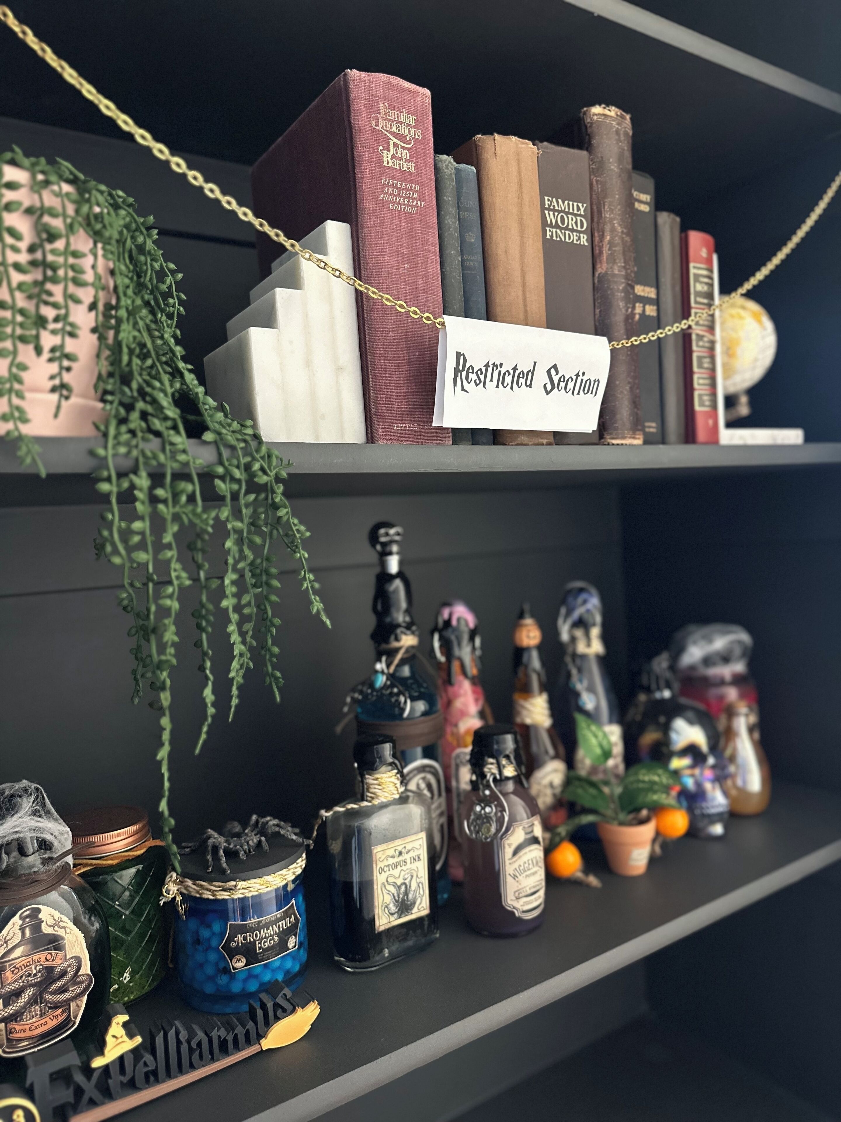 Une bibliothèque remplie de livres, avec une étiquette indiquant « Section interdite », et une étagère inférieure contenant diverses bouteilles et récipients.