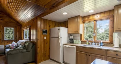 ❤️New! 2.5 mi to Whiteface- ADK Cabin w/ Fire pit