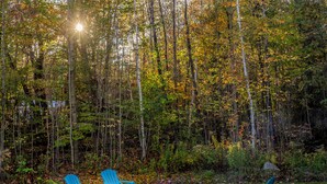 A forest with a campfire and three blue chairs arranged around it.