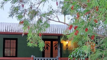 Detalle del exterior