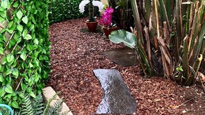 Un sendero en un jardín con acolchado, plantas en macetas y una piedra decorativa.