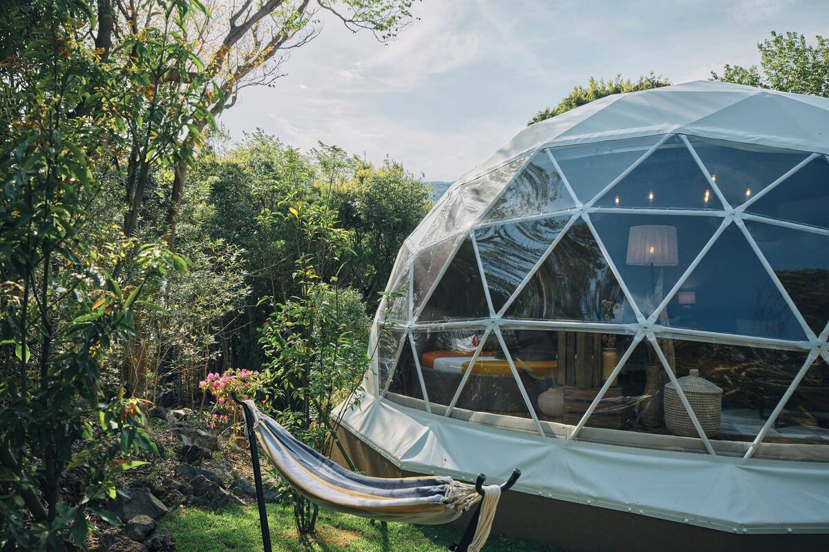 A geodesic dome structure with a hammock and potted plants in the foreground.