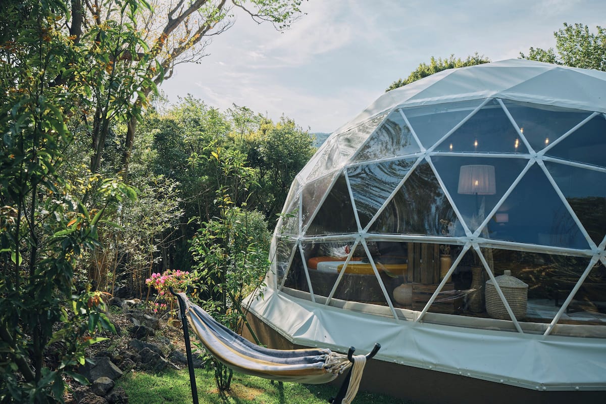 Una estructura de domo geodésico con una hamaca y plantas en macetas al frente.
