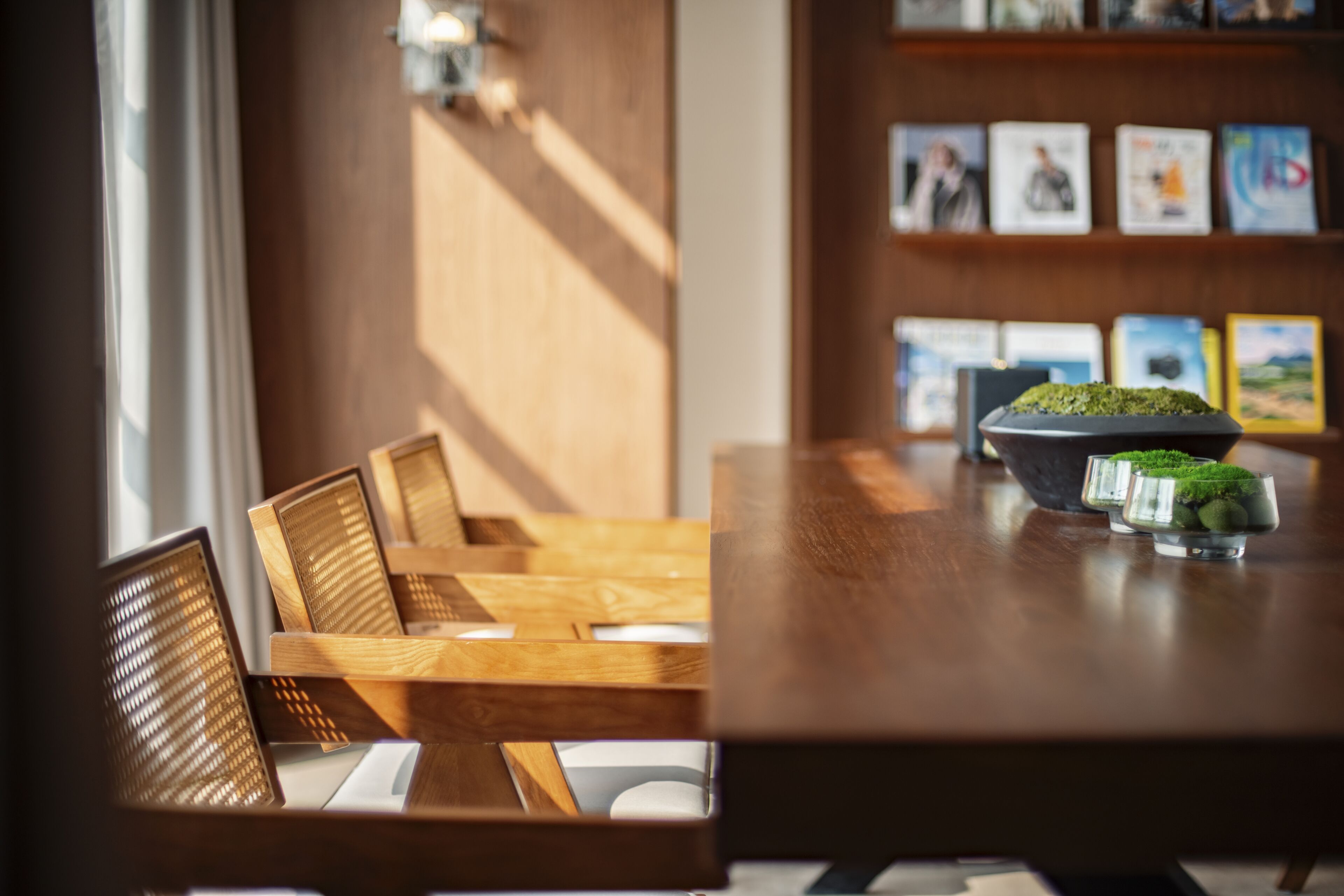 Un comedor moderno con sillas de madera y una mesa, una planta pequeña sobre la mesa, y una estantería al fondo.