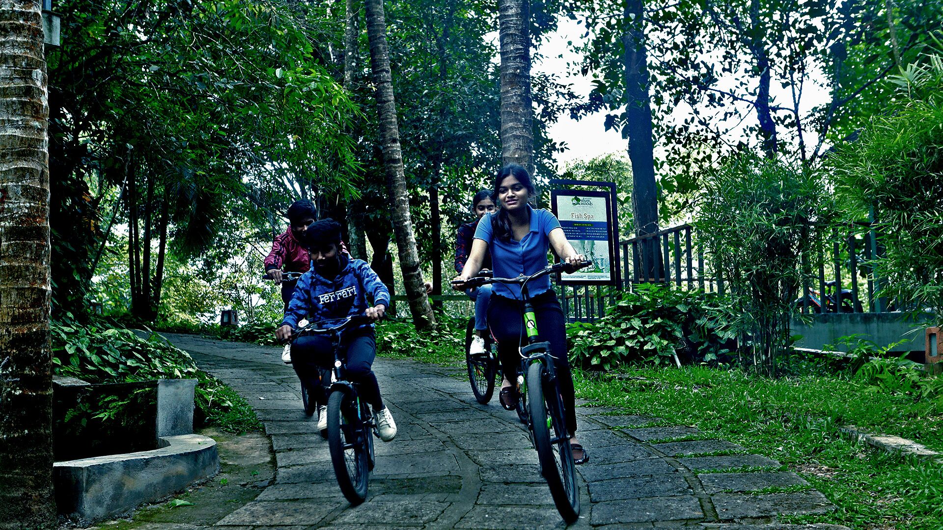 Three people riding bicycles on a stone pathway surrounded by lush greenery.